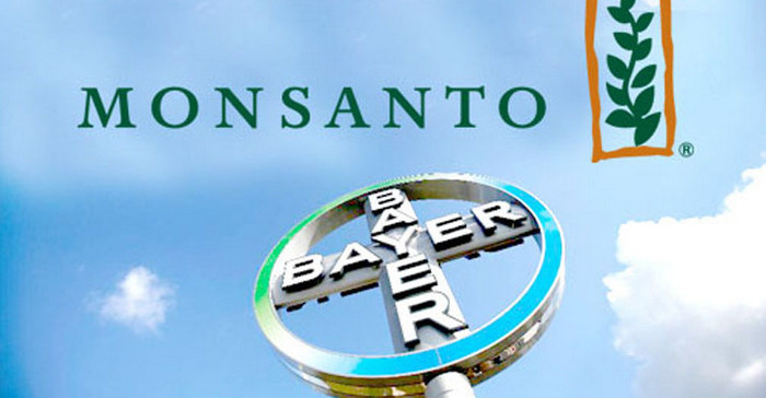 Yerel tohuma bir darbe de Bayer’den